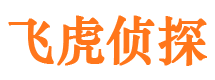 鹤城市婚姻调查